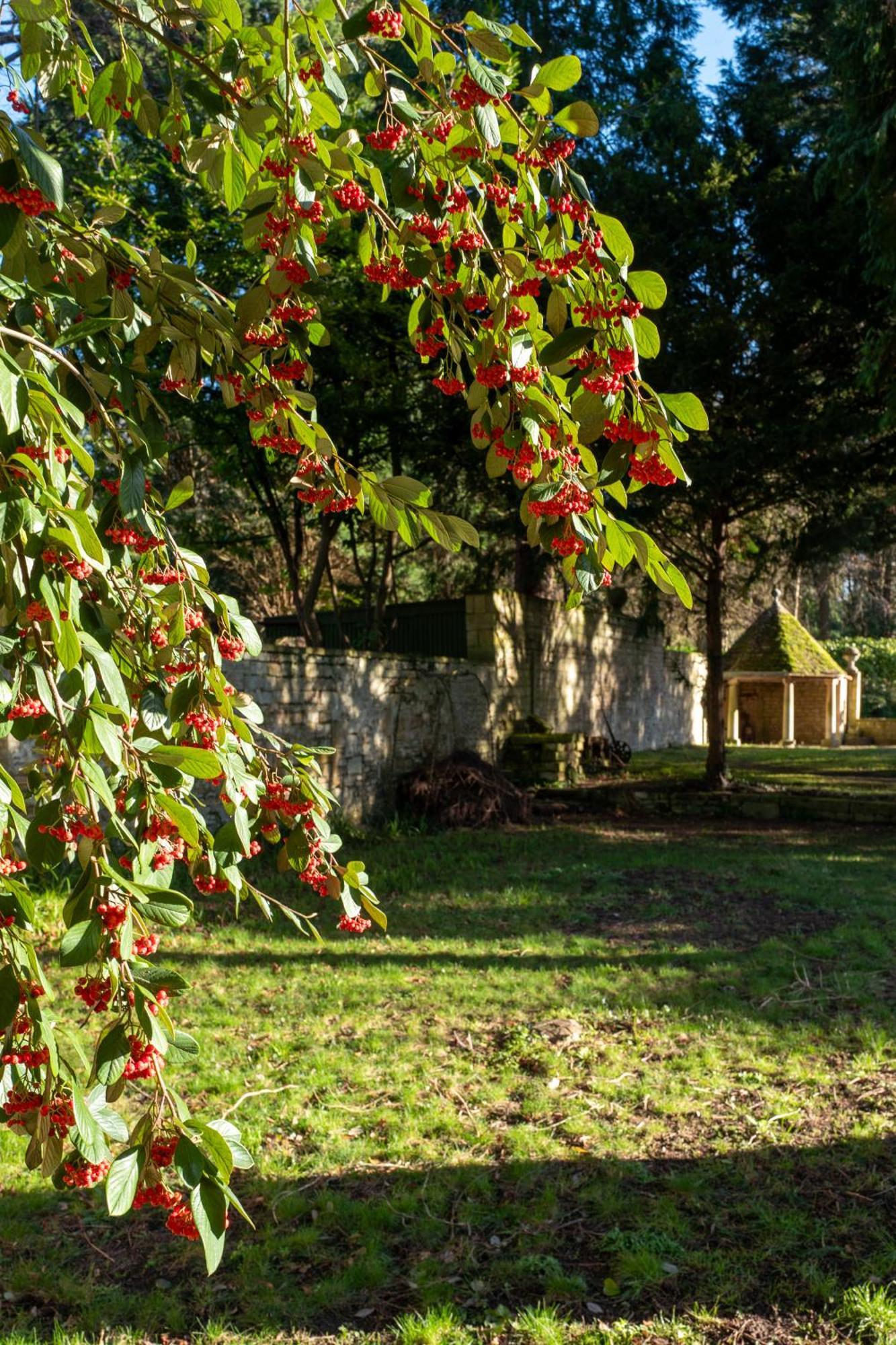 The Hall Pension Bradford-On-Avon Buitenkant foto