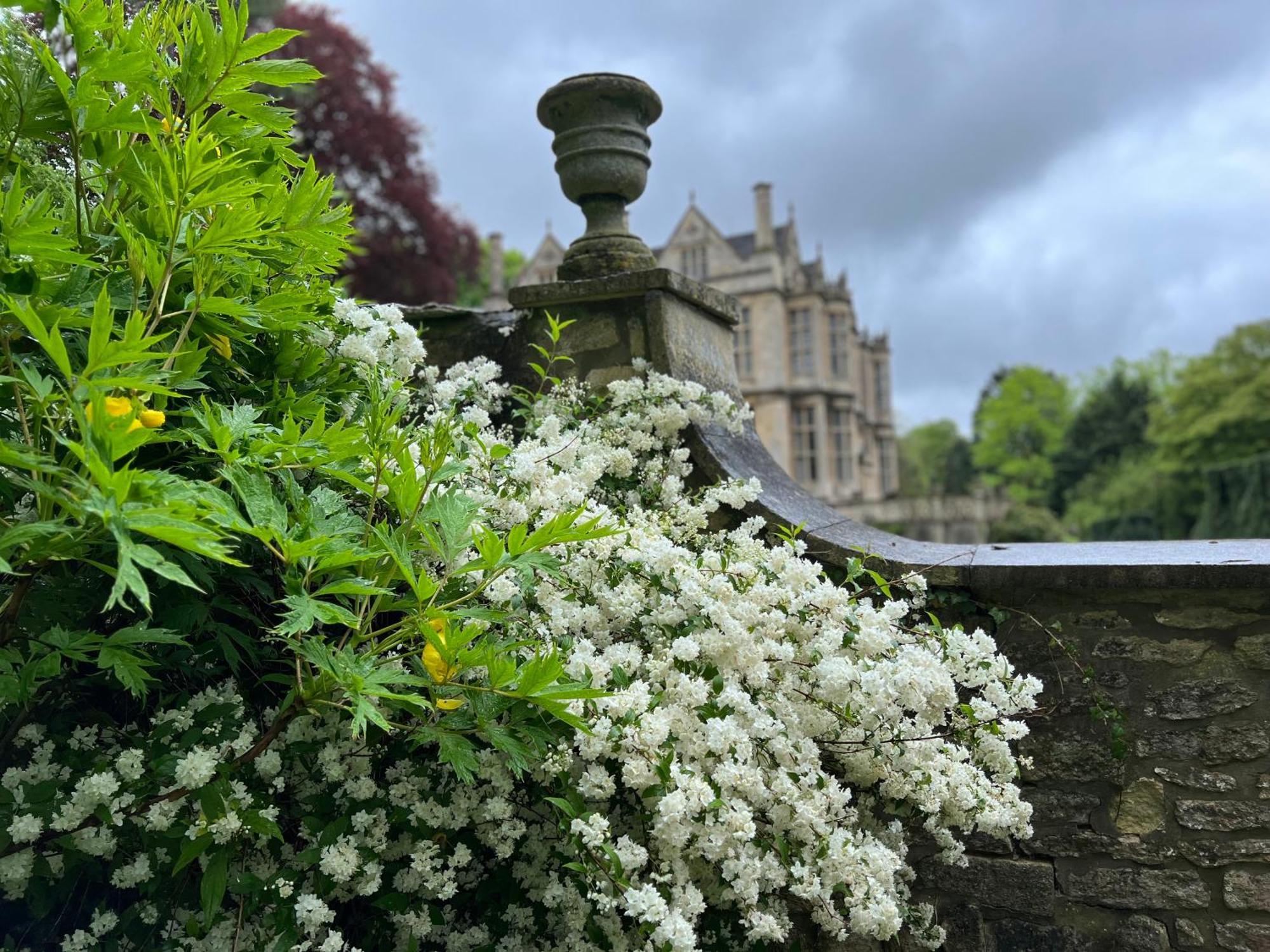 The Hall - Historic Grade I-Listed Jacobean Mansion Bradford-On-Avon Buitenkant foto