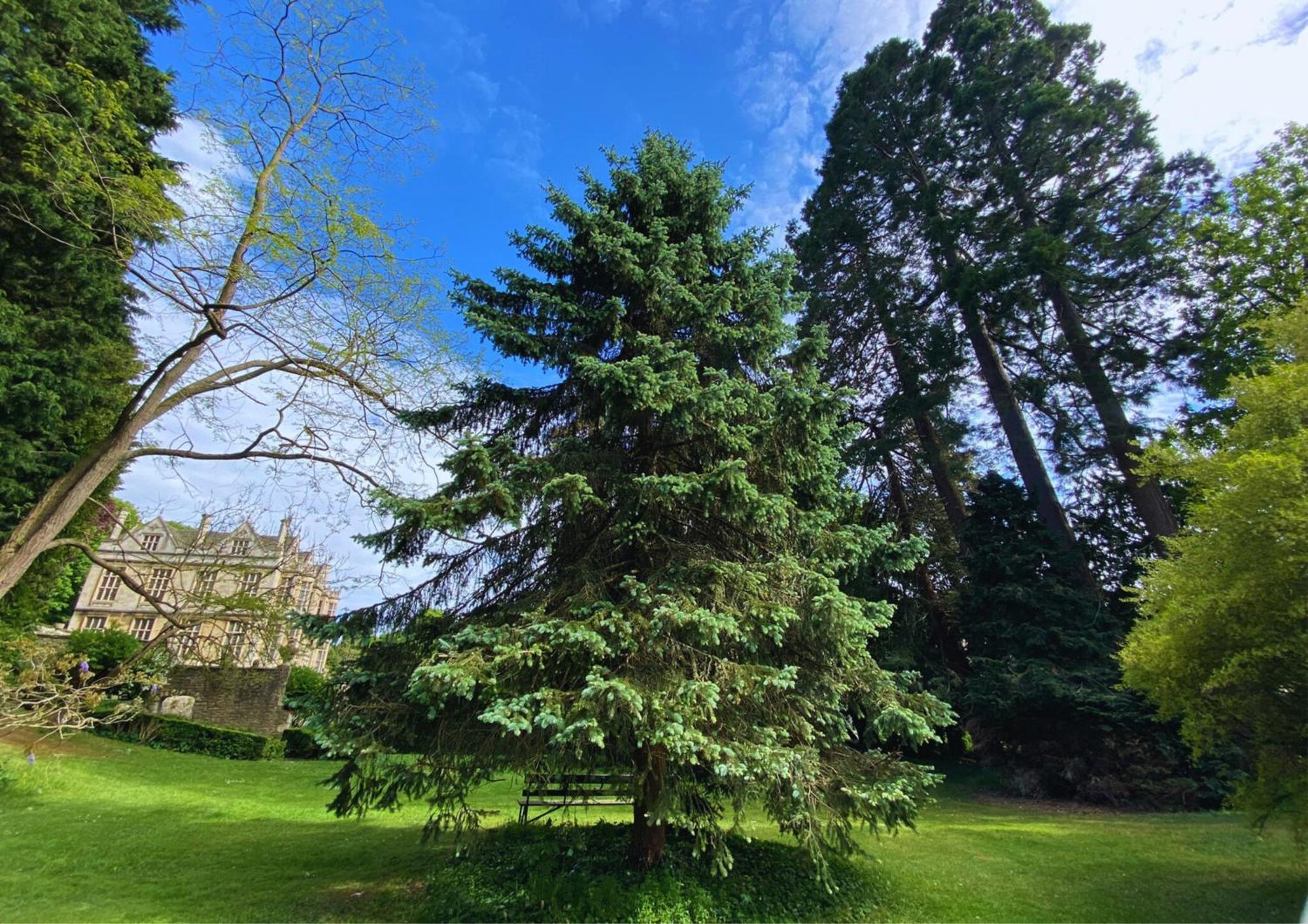 The Hall - Historic Grade I-Listed Jacobean Mansion Bradford-On-Avon Buitenkant foto